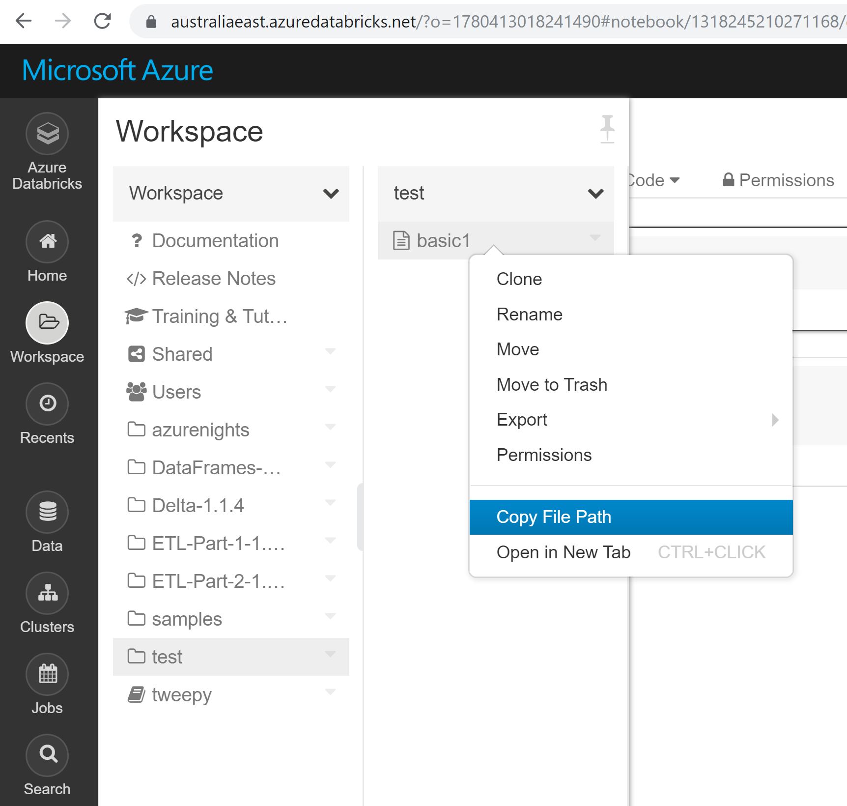 copy filepath in data bricks