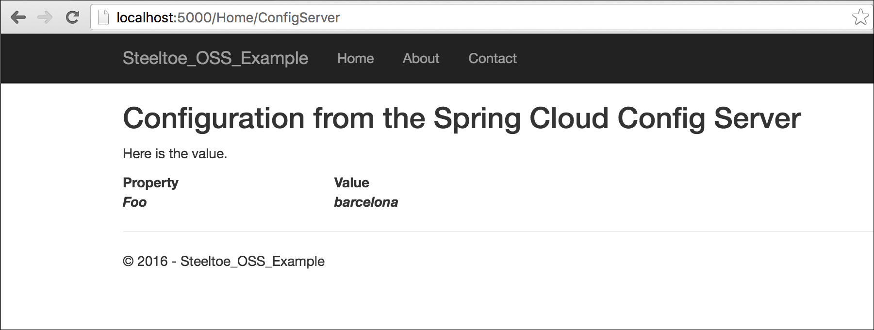 Steeltoe-OSS-Example Config Server page