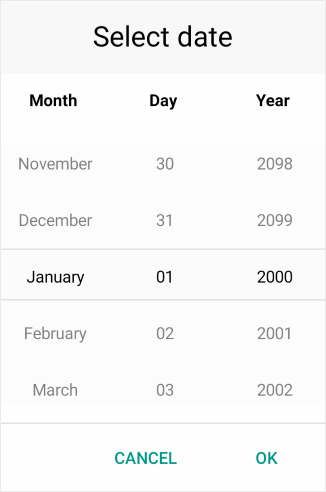 DateTime Picker Overview