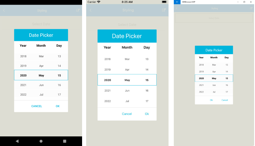 Date Picker