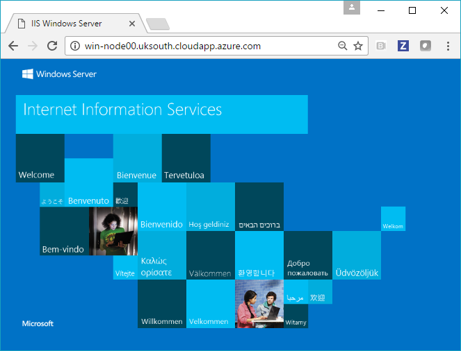 IIS in a Windows Server Core container