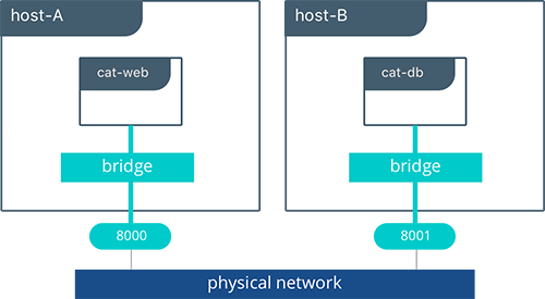 Pet App with Multi-Host Bridge Driver