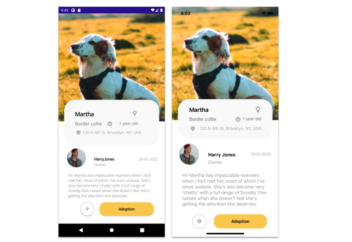 Pet Adoption UI