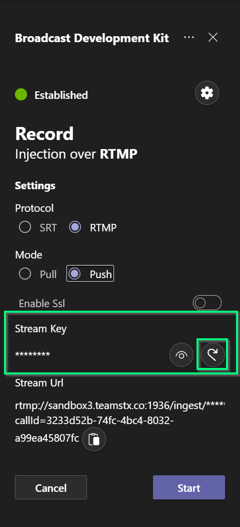 Stream settings RTMP stream key