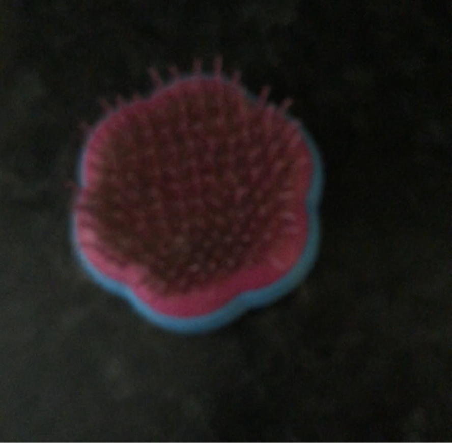 clean frame of hairbrush