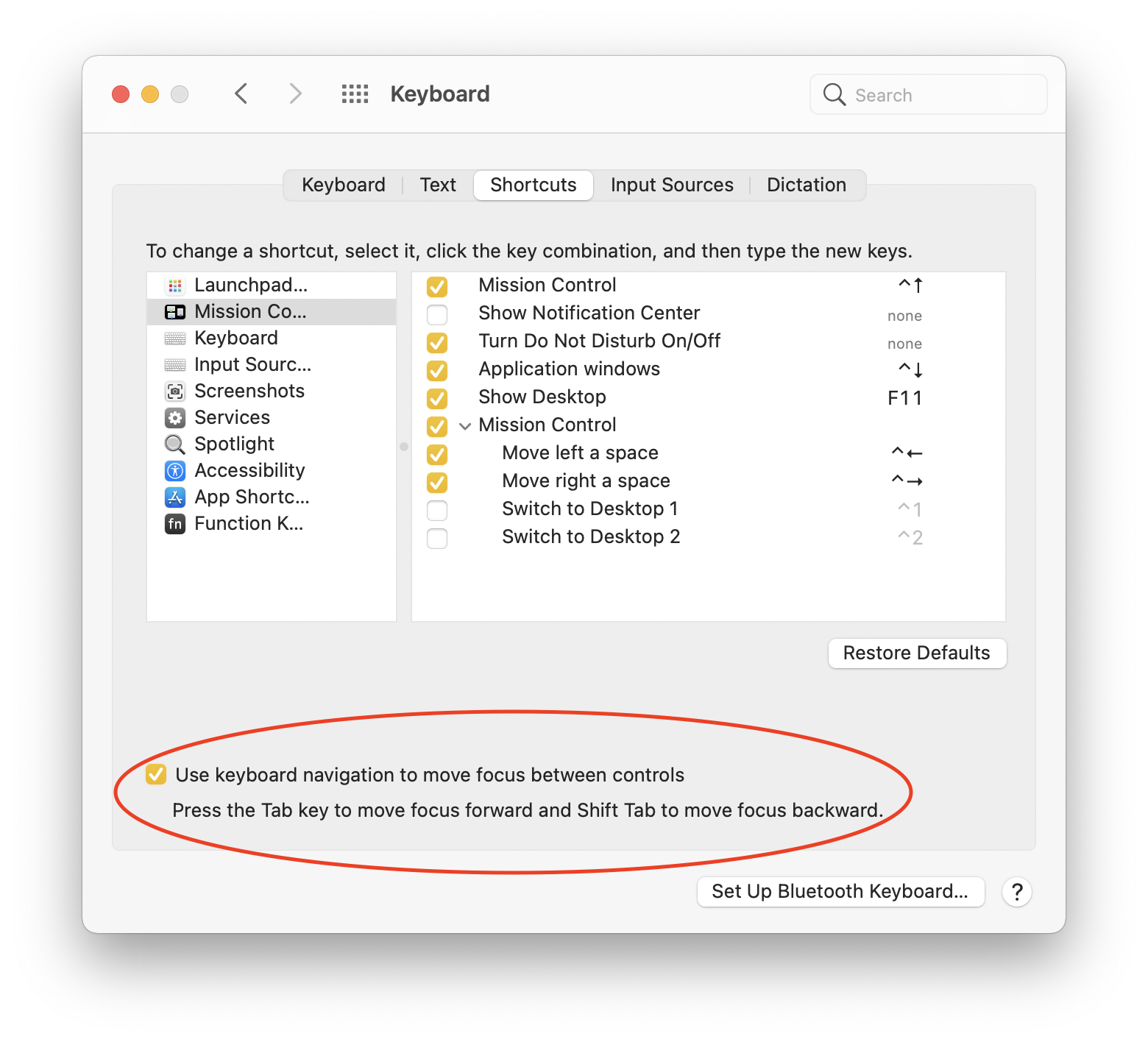 Keyboard Focus User Setting