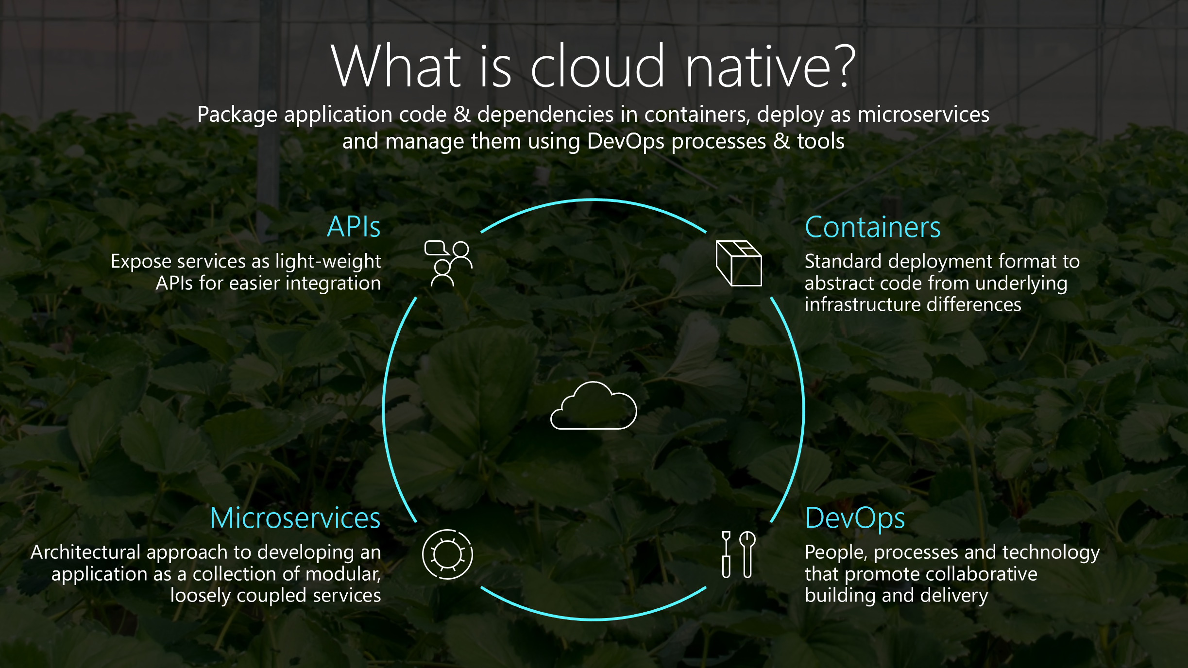 What is cloud native?