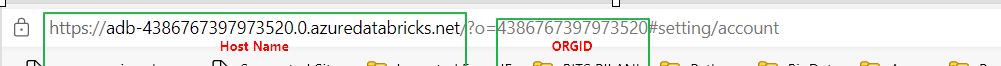 DatabricksORGIDandHOSTID