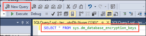 The query above is pasted into a new query window in SSMS.