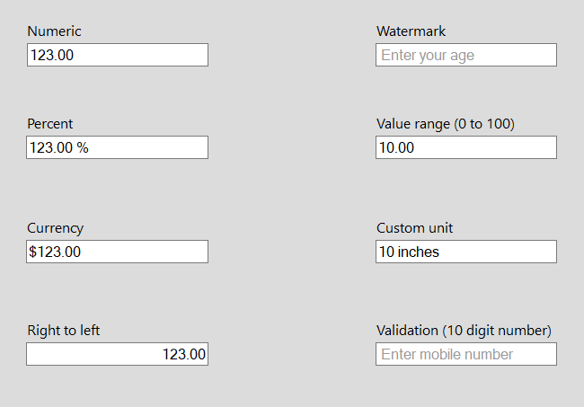 Overview of SfNumericTextBox