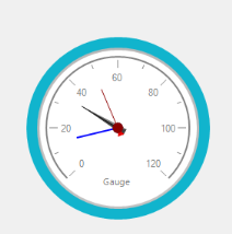 Multiple needle Radial Gauge