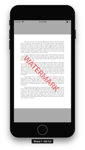 simulator showing PDF watermark