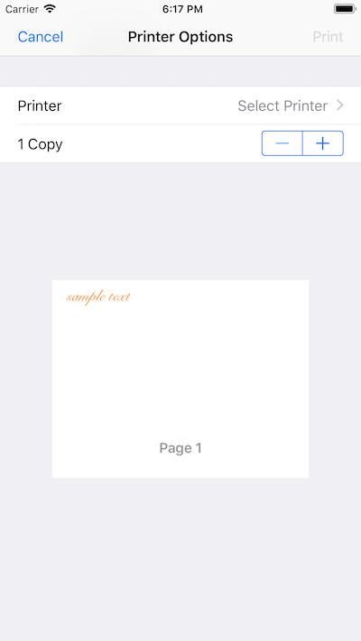 Print dialog in app