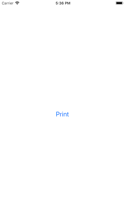 Print Sample application screenshot